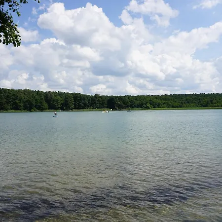 Tinyhaus Loewenzahn Dom wakacyjny Rheinsberg