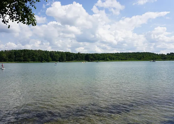 Tinyhaus Loewenzahn Dom wakacyjny Rheinsberg